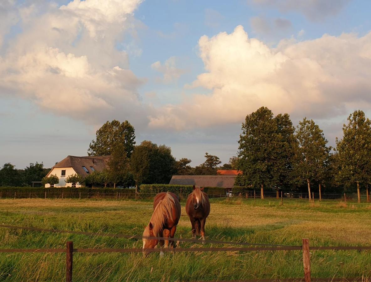 B&B De Scherpenhof Leur Εξωτερικό φωτογραφία